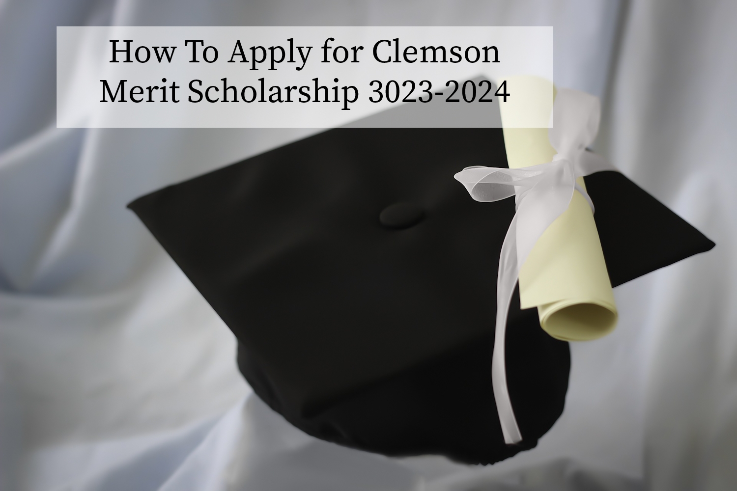 Clemson Merit Scholarship Application 20232024 Apply Now