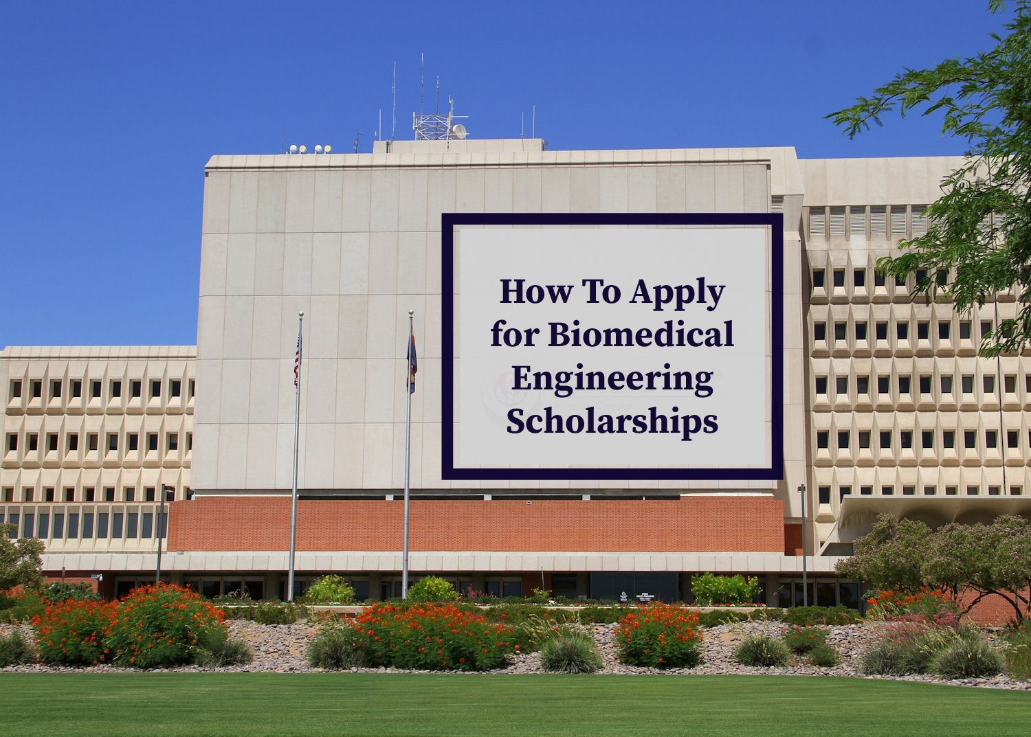 Biomedical Engineering Scholarships 20232024 How To Apply Joe
