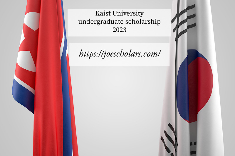 KAIST University scholarship